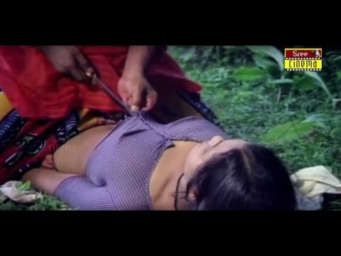 Vayal