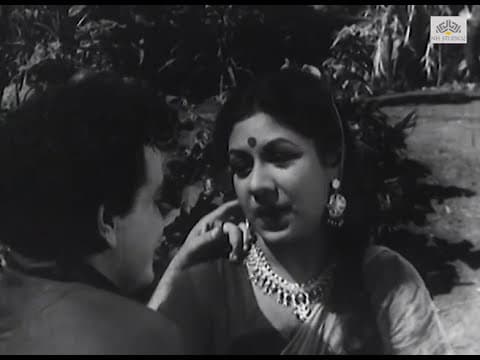 Mera Bhai Mera Dushman