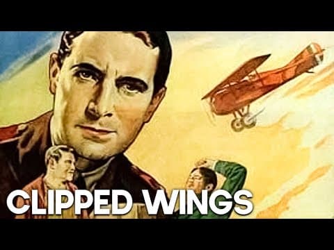 Clipped Wings
