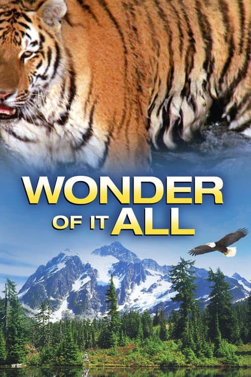 Wonder of It All